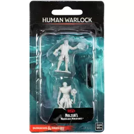 D&D Nolzur's Marvelous Miniatures: Human Warlock (мужчина) картинка 347352 - МосИгра